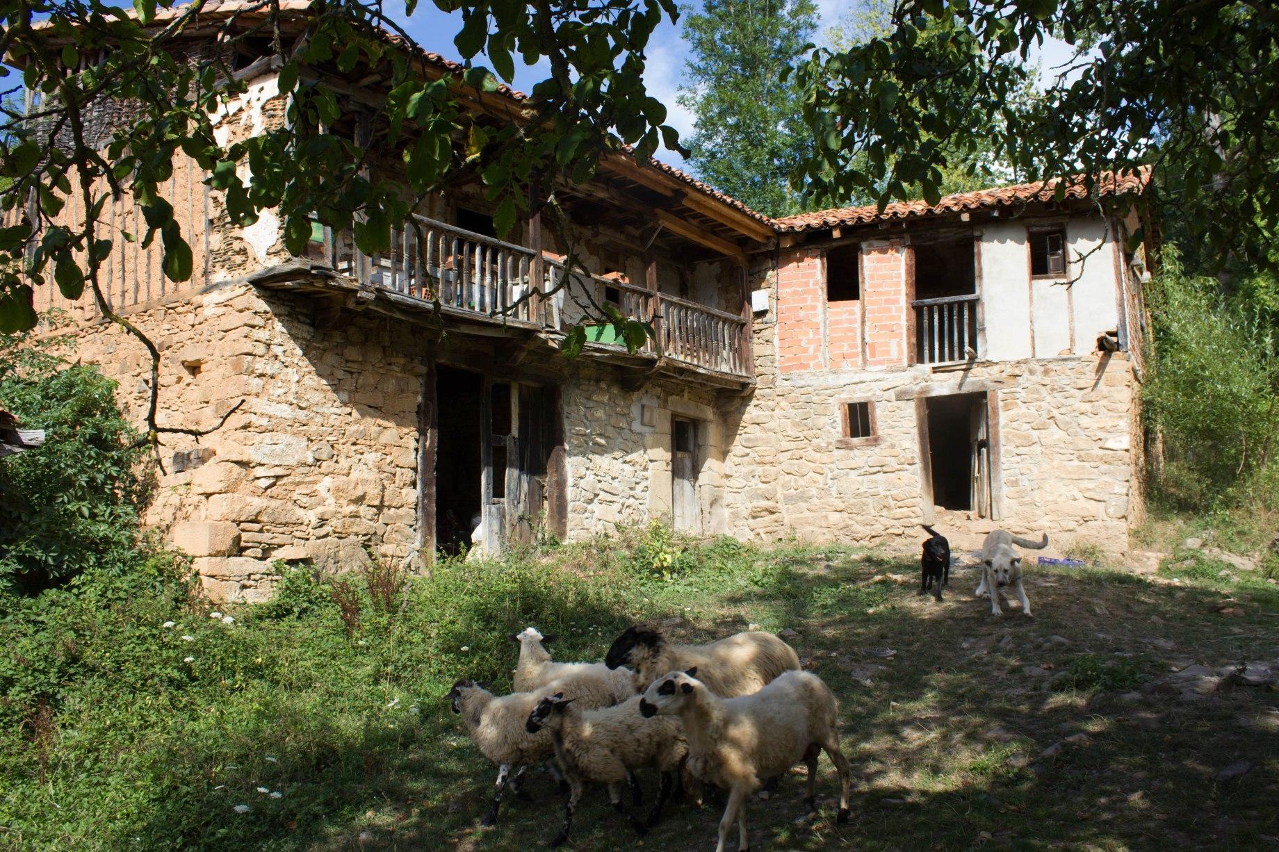 Vaciado de casas en Valldoreix